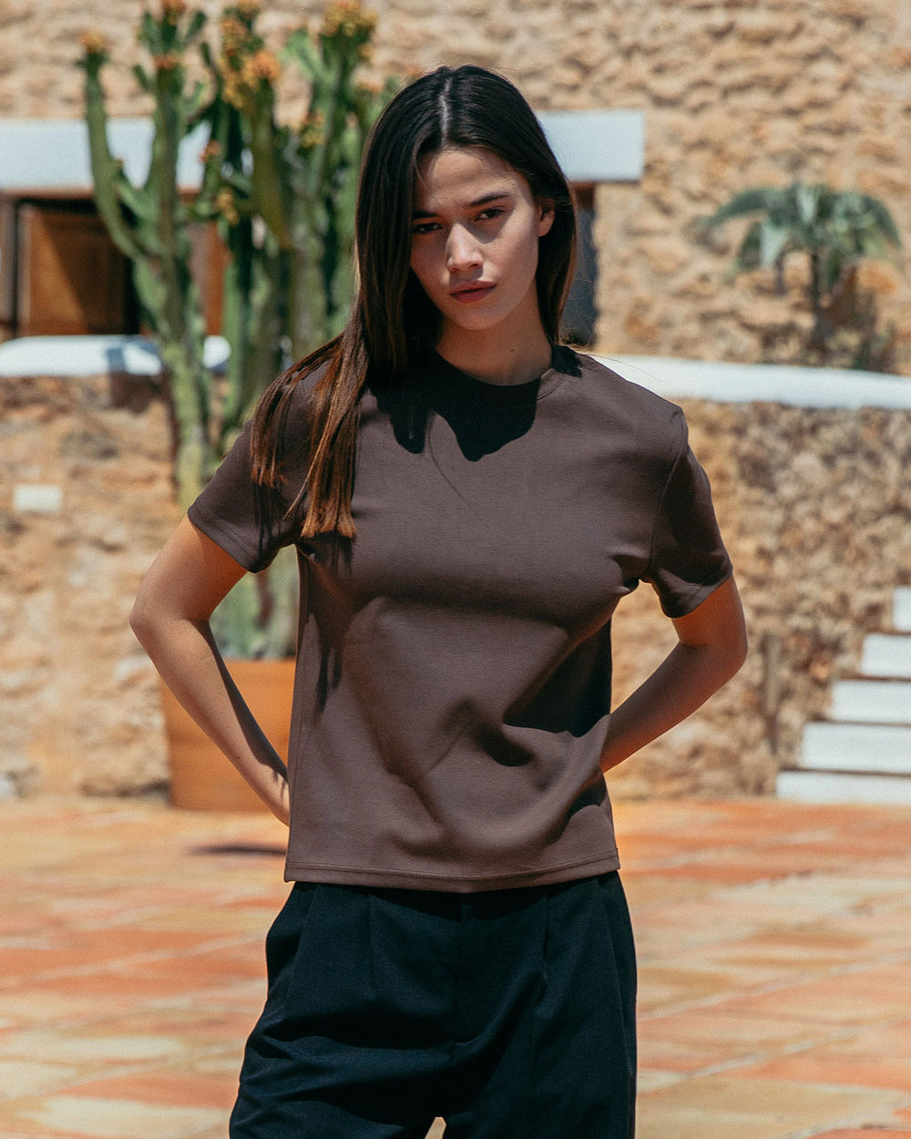 Brando Fitted T-Shirt, Brown