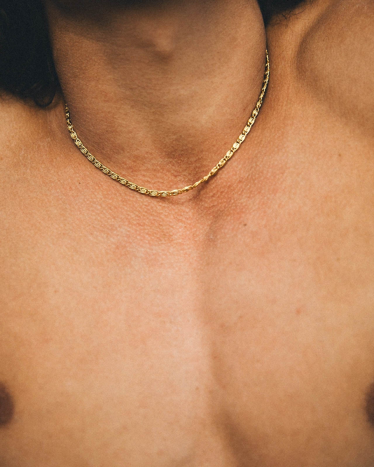 Brent & Brody - Gold