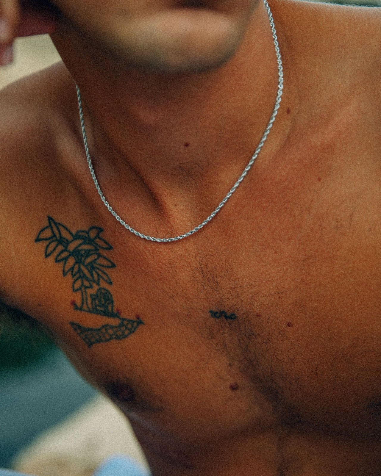 Leo - Silver